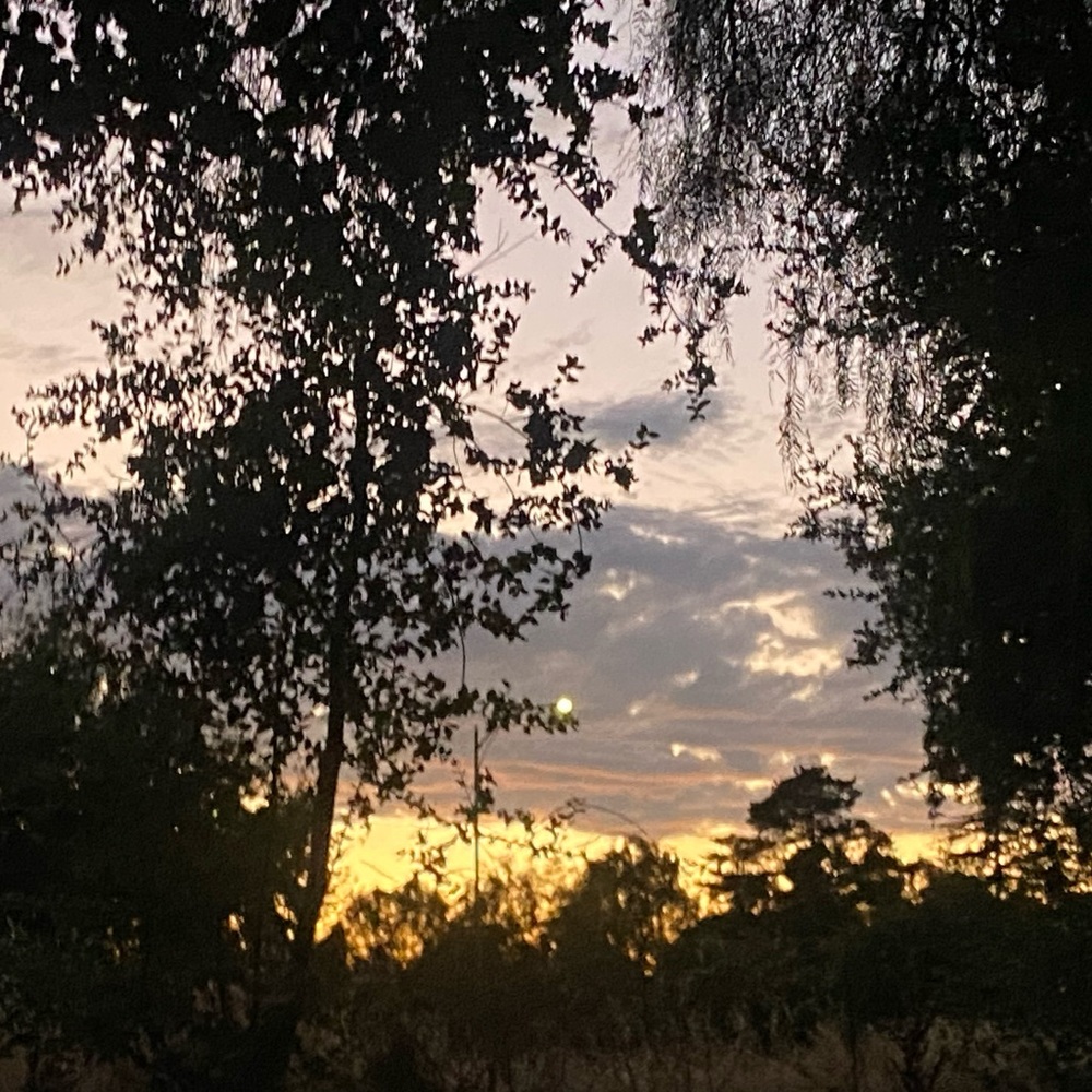 Meet your Posher, Evergreen